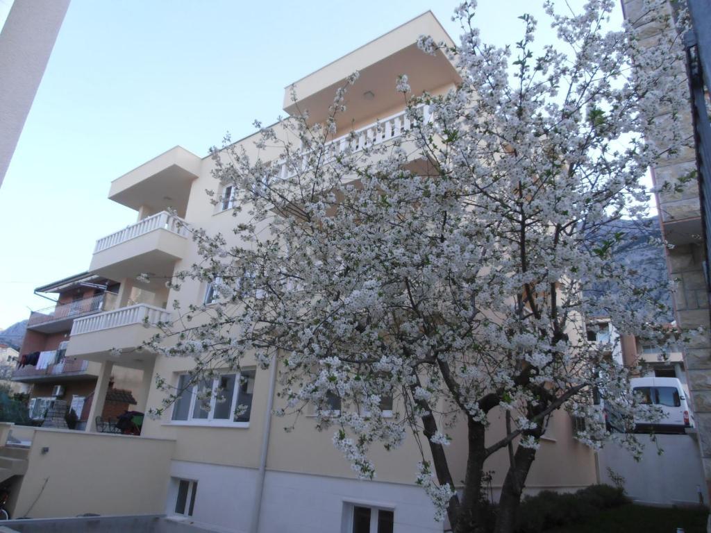 Apartment Lelas